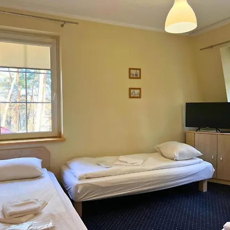 Niron Marina Szalonego Greka