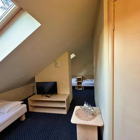 Niron Marina Szalonego Greka Hotel