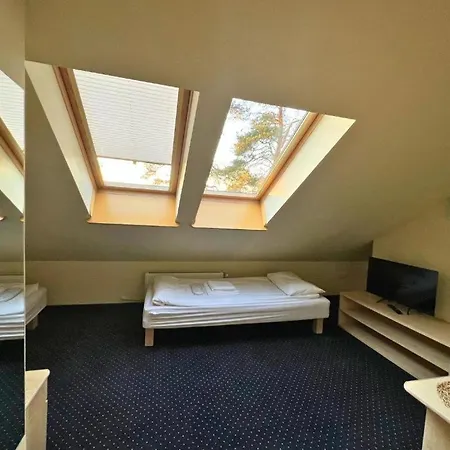 Niron Marina Szalonego Greka *