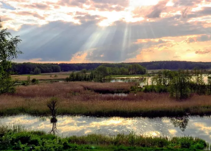 Station touristique Niron Marina Szalonego Greka Borne Sulinowo