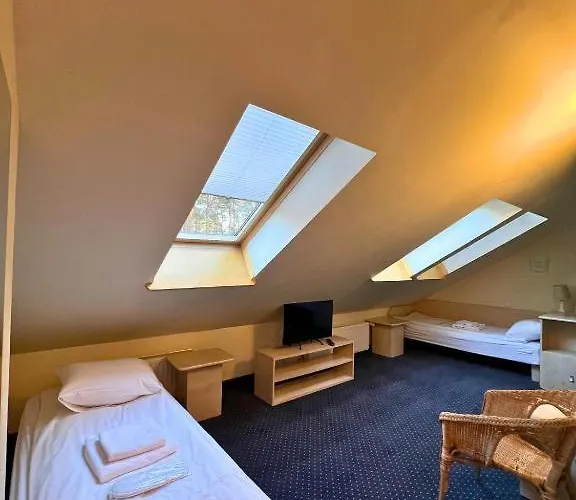 Niron Marina Szalonego Greka *