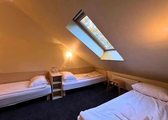 Niron Marina Szalonego Greka *