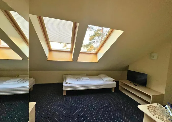 Niron Marina Szalonego Greka *